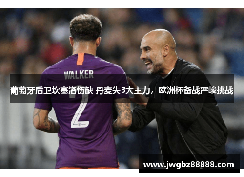 葡萄牙后卫坎塞洛伤缺 丹麦失3大主力，欧洲杯备战严峻挑战